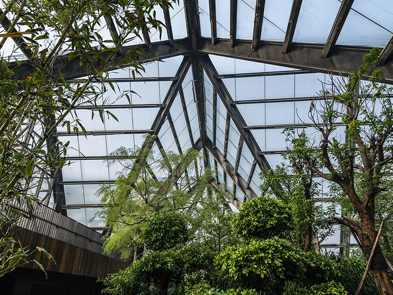 Botani Botani Struktur Botani