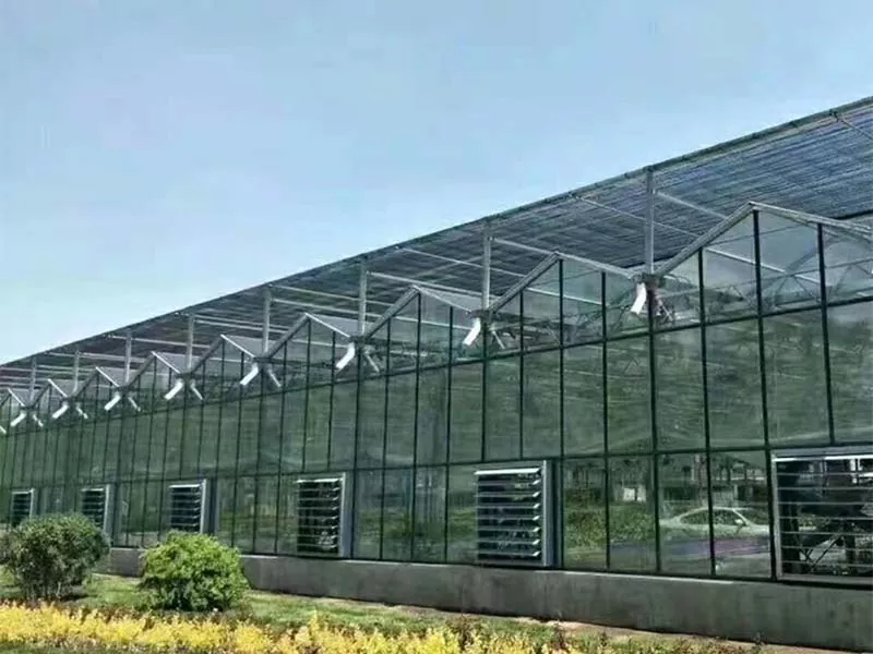 Apa jinis panen sing bisa ditanam ing kebon vertikal baja?